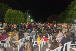 Peregrinacion Ambul150325-154