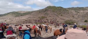 WhatsApp Image 2026-03-07 at 18.03.50