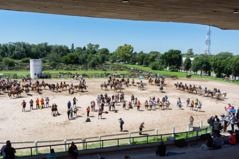 -PeregrinacionMalagueño10032025-150